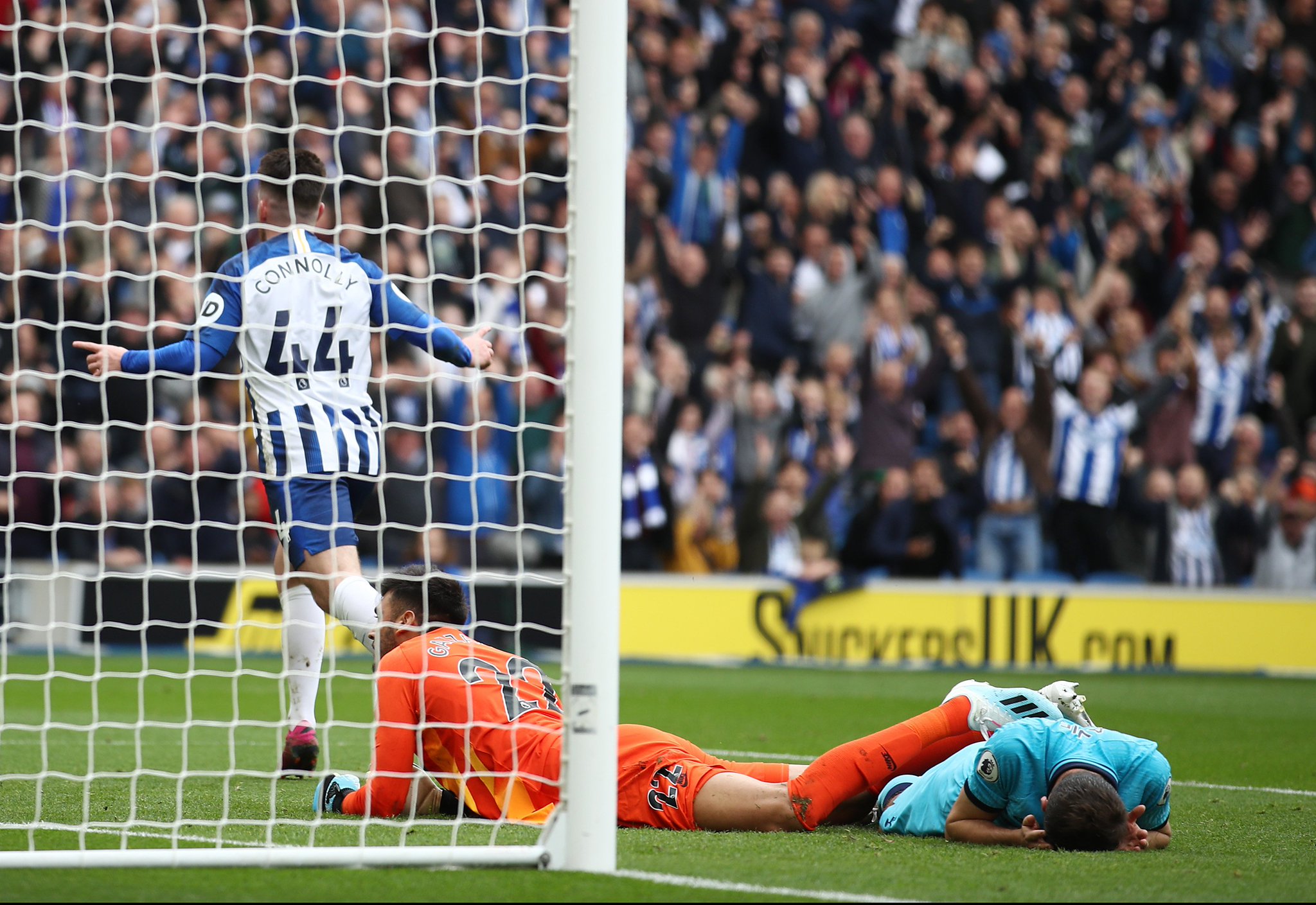 总是选择安 总是选择安